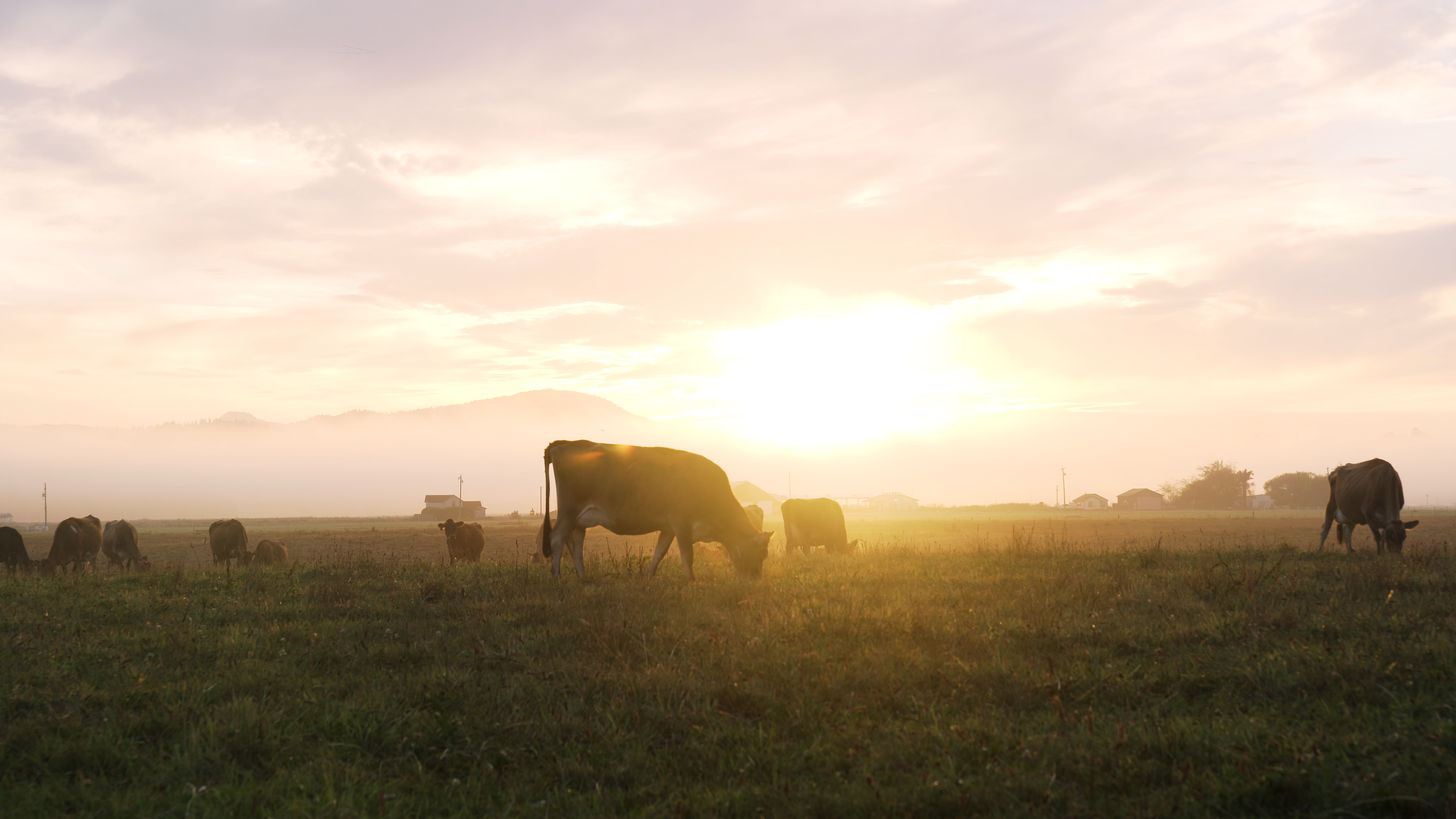 Read more about the article Natural Grocers® Promotes “From the Soil Up” Within “Meet Your Farmer” Film Series